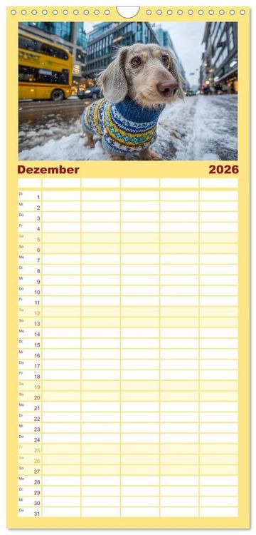 Produktbild: Familienplaner 2026 - Dackel auf gro&szlig;er Tour - S&uuml;&szlig;e Hunde entdecken die Welt mit 5 Spalten (Wandkalender, 21 x 45 cm) CALVENDO