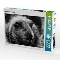 Produktbild: CALVENDO Puzzle Meerschweinchen Blick 1000 Teile Lege-Gr&ouml;&szlig;e 64 x 48 cm Foto-Puzzle Bild von kattobello