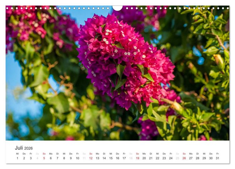 Produktbild: Kreta. Im S&uuml;den (Wandkalender 2026 DIN A3 quer), CALVENDO Monatskalender