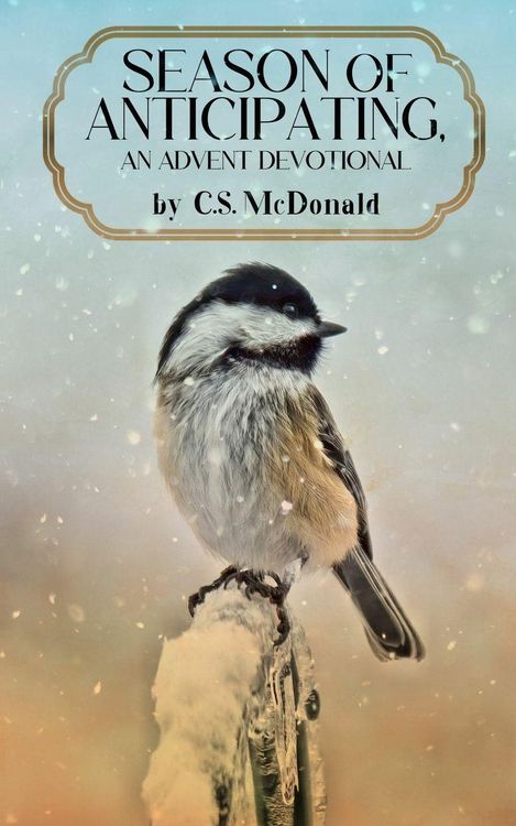 Produktbild: Season of Anticipating, An Advent Devotional