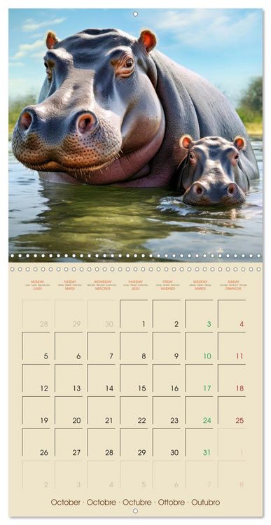 Produktbild: Let's go on Safari - Animal babies in Africa (Wall Calendar 2026 12 &times; 12 Inch) CALVENDO 12 Month Wall Calendar
