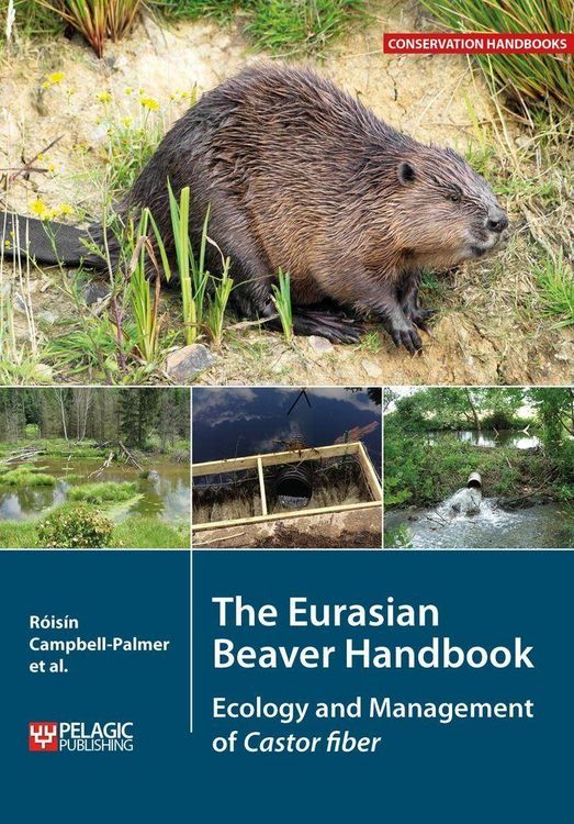 Produktbild: The Eurasian Beaver Handbook