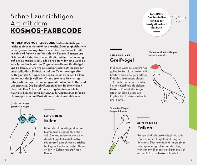 Produktbild: Basic Greifv&ouml;gel und Eulen