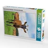 Produktbild: CALVENDO Puzzle Bunte deutsche Edelziegen, liebenswerte Sturk&ouml;pfe | 1000 Teile Lege-Gr&ouml;&szlig;e 64x48cm Foto-Puzzle f&uuml;r gl&uuml;ckliche Stunden