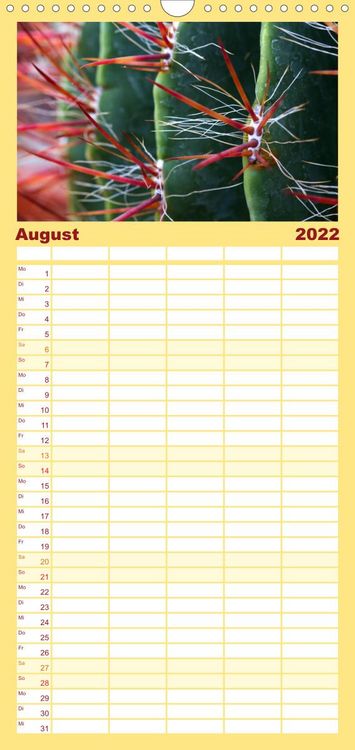 Produktbild: Bl&uuml;tensymphonie - Kakteen und Sukkulenten - Familienplaner hoch (Wandkalender 2022 , 21 cm x 45 cm, hoch)