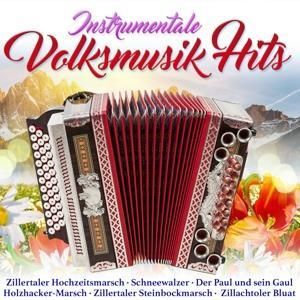 Produktbild: Instrumentale Volksmusikhits