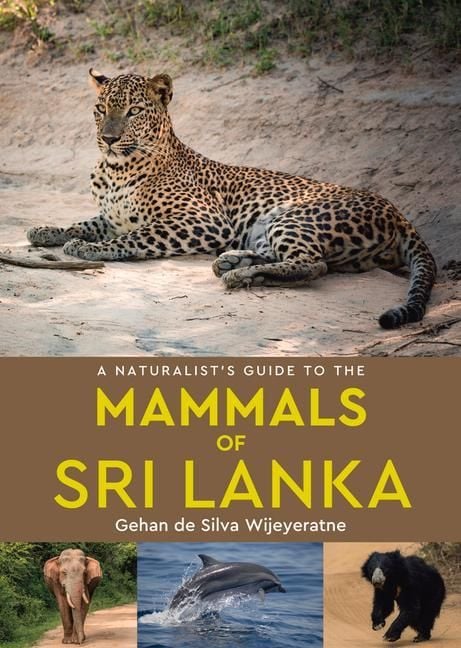 Produktbild: A Naturalist's Guide to the Mammals of Sri Lanka
