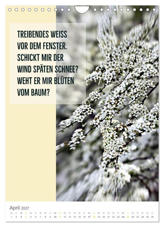 Produktbild: Tagesfarben - Poesie in Wort und Bild (Wandkalender 2027 DIN A4 hoch), CALVENDO Monatskalender