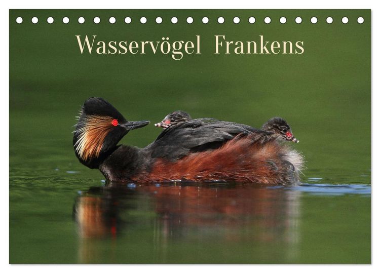 Produktbild: Wasserv&ouml;gel Frankens (Tischkalender 2026 DIN A5 quer), CALVENDO Monatskalender