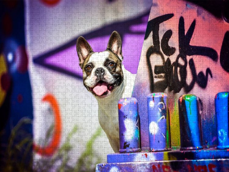 Produktbild: CALVENDO Puzzle French Bulldog sitzt vor einer Graffitiwand | 1000 Teile Lege-Gr&ouml;&szlig;e 64x48cm Foto-Puzzle f&uuml;r gl&uuml;ckliche Stunden
