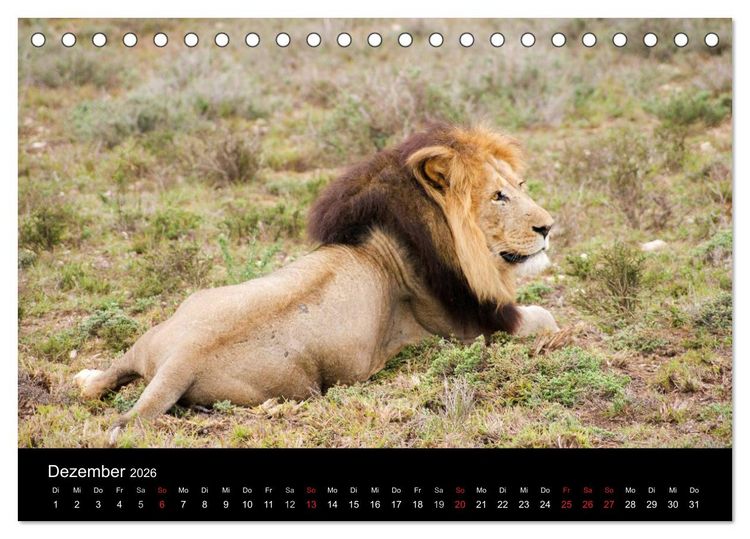 Produktbild: Faszinierendes S&uuml;dafrika (Tischkalender 2026 DIN A5 quer), CALVENDO Monatskalender