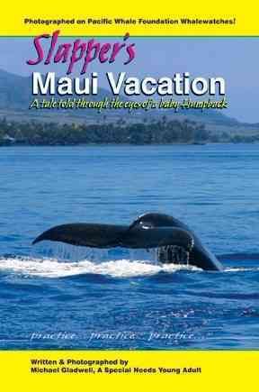 Produktbild: Slapper's Maui Vacation