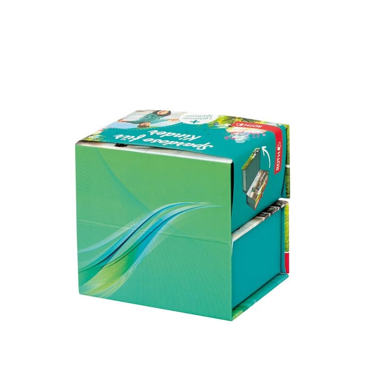 Produktbild: Roth Spardose 2 Boxen mit 2 F&auml;chern Fu&szlig;ballstar
