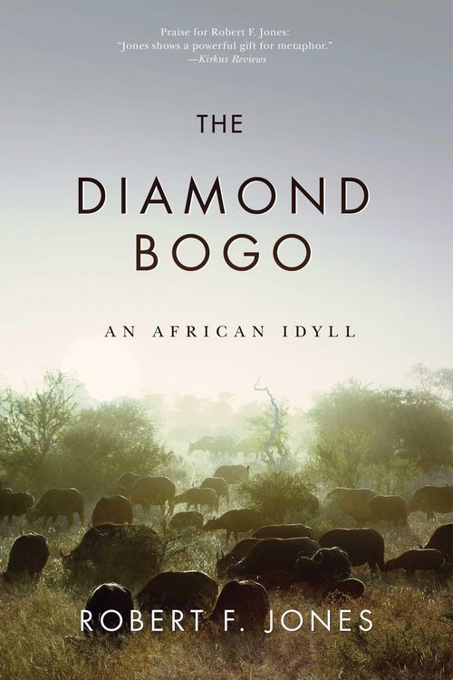Produktbild: The Diamond Bogo