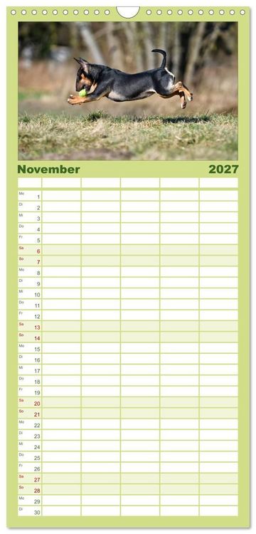 Produktbild: Familienplaner 2027 - Einmal Bullterrier - immer Bullterrier mit 5 Spalten (Wandkalender, 21 x 45 cm) CALVENDO