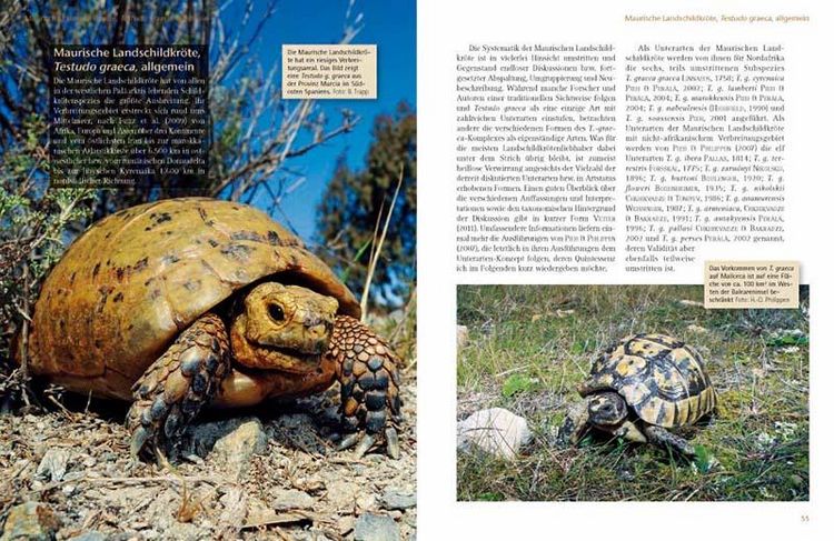 Produktbild: Das Schildkr&ouml;tenjahr