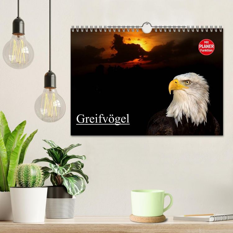 Produktbild: Greifv&ouml;gel (Wandkalender 2026 DIN A4 quer), CALVENDO Monatskalender