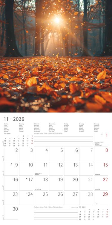 Produktbild: Sunny Moments 2026 - Broschürenkalender 30x30 cm (30x60 geöffnet) - Kalender mit Platz für Notizen - Bildkalender - Wandplaner - Wandkalender