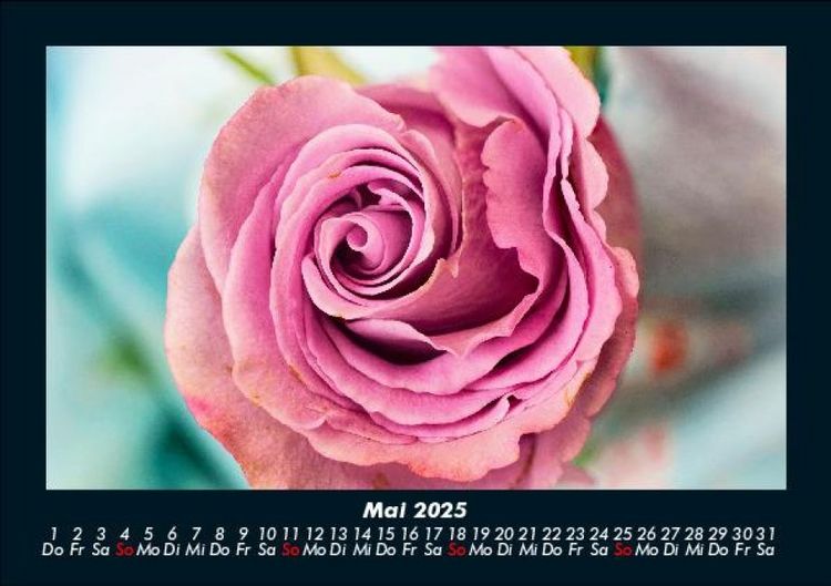 Produktbild: Rosentraum 2025 Fotokalender DIN A5