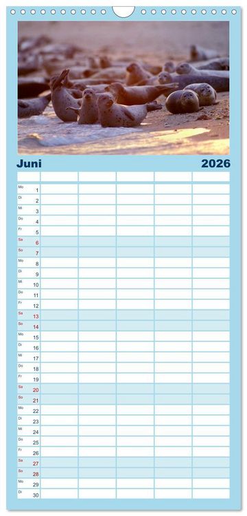 Produktbild: Familienplaner 2026 - Faszination Kegelrobben und Seehunde mit 5 Spalten (Wandkalender, 21 x 45 cm) CALVENDO