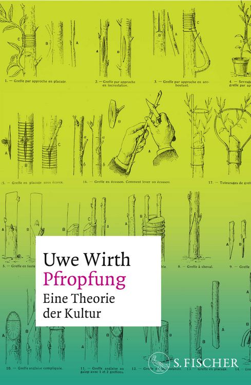 Produktbild: Pfropfung &ndash; Eine Theorie der Kultur