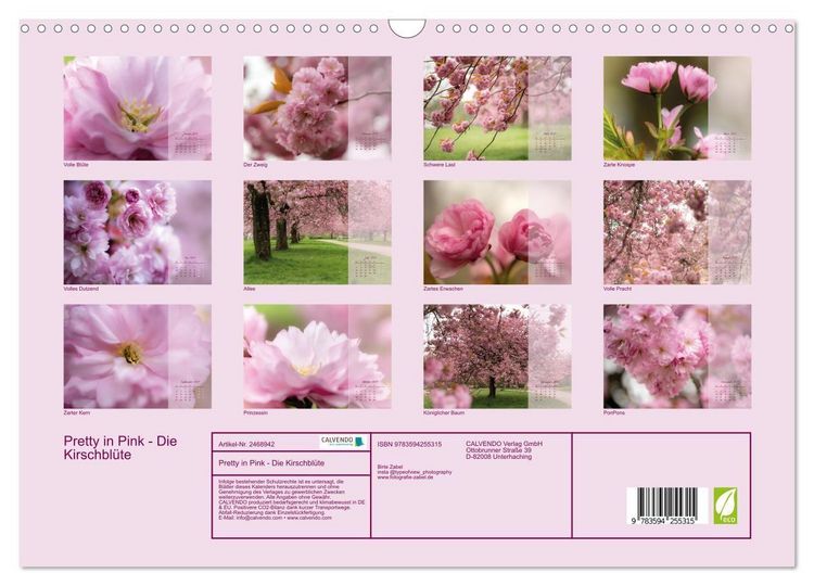 Produktbild: Pretty in Pink - Die Kirschbl&uuml;te (Wandkalender 2027 DIN A3 quer), CALVENDO Monatskalender