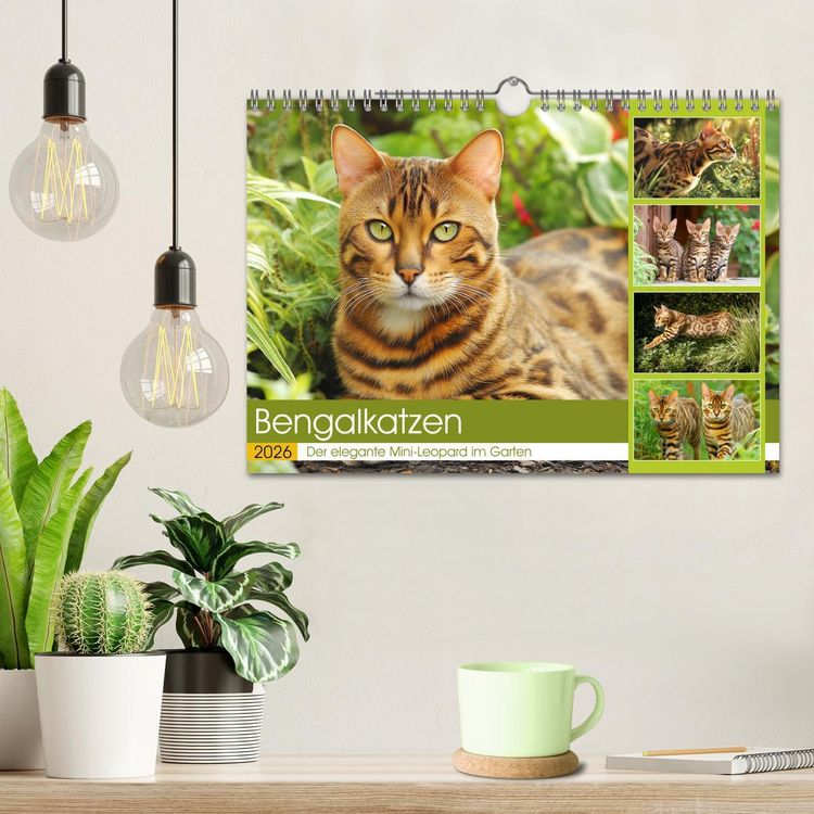 Produktbild: Bengalkatzen. Der elegante Mini-Leopard im Garten (Wandkalender 2026 DIN A4 quer), CALVENDO Monatskalender