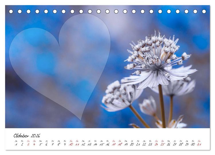 Produktbild: Blauer Bl&uuml;tentraum - Bastelkalender (Tischkalender 2026 DIN A5 quer), CALVENDO Monatskalender