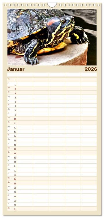 Produktbild: Familienplaner 2026 - Schmuckschildkr&ouml;ten - Schmuckst&uuml;cke der Natur mit 5 Spalten (Wandkalender, 21 x 45 cm) CALVENDO