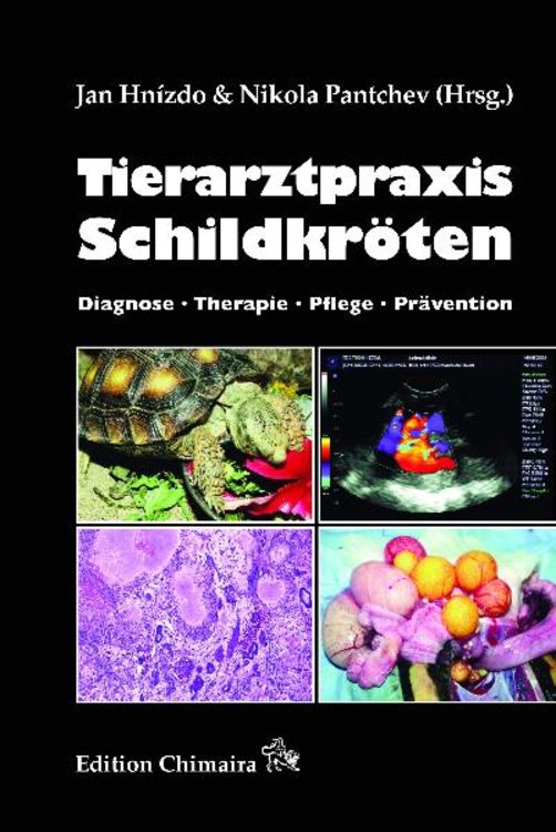 Produktbild: Tierarztpraxis Schildkr&ouml;ten