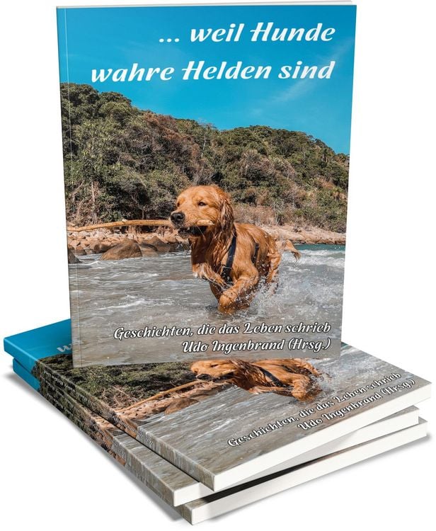 Produktbild: ... weil Hunde wahre Helden sind