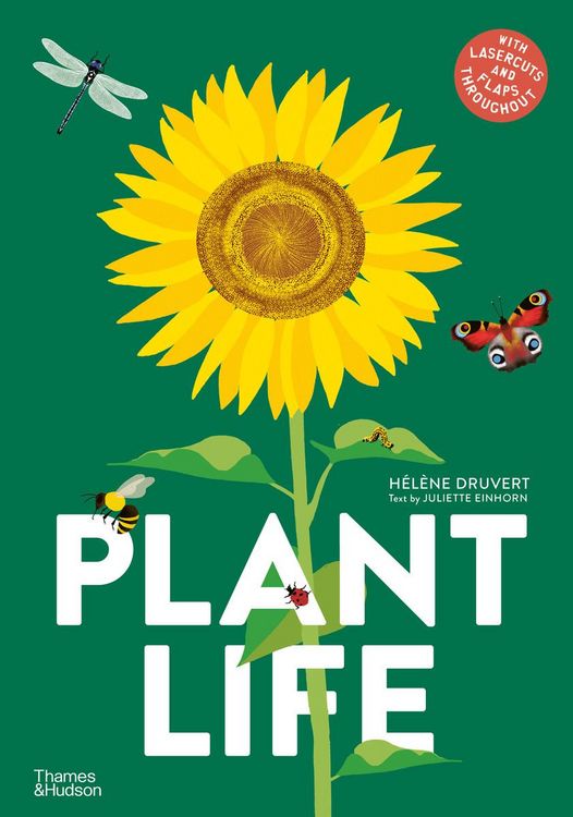 Plant Life" auf Englisch kaufen