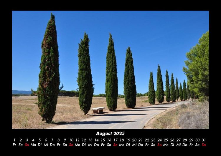 Produktbild: B&auml;ume 2025 Fotokalender DIN A3
