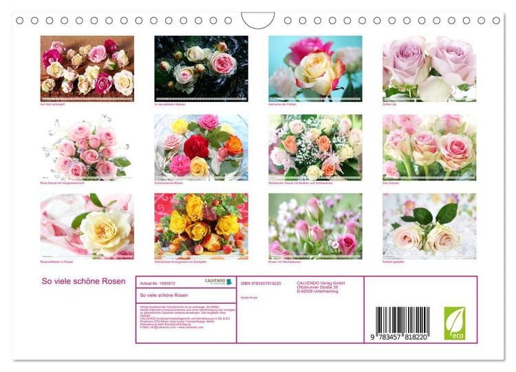 Produktbild: So viele sch&ouml;ne Rosen (Wandkalender 2026 DIN A4 quer), CALVENDO Monatskalender