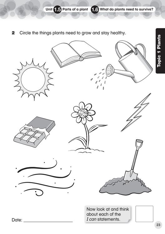 Produktbild: Collins International Primary Science
