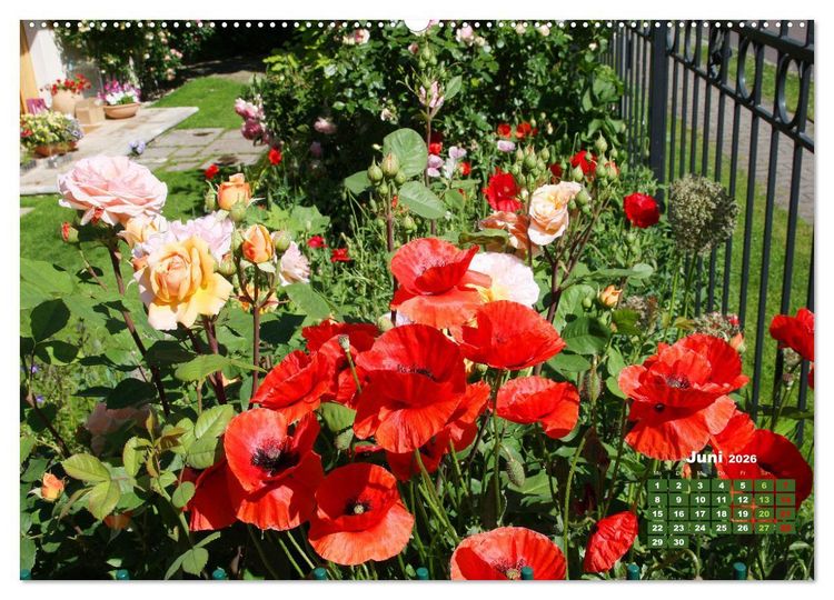 Produktbild: Urlaub im Garten (Wandkalender 2026 DIN A2 quer), CALVENDO Monatskalender