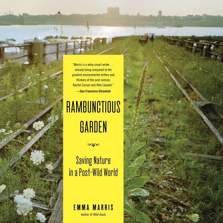 Produktbild: Rambunctious Garden