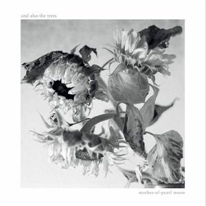 Produktbild: Mother-of-Pearl Moon