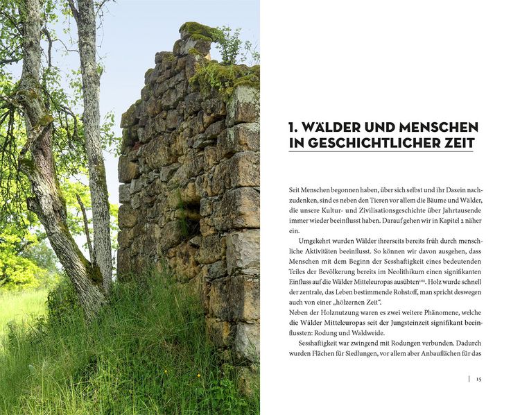 Produktbild: Die Sache mit dem Wald