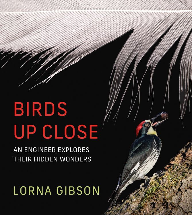 Produktbild: Birds Up Close