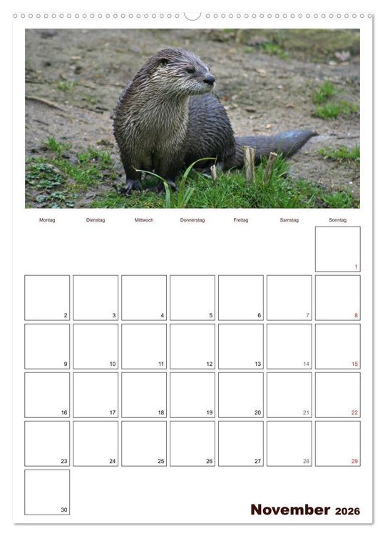 Produktbild: Der Fischotter-Terminplaner (hochwertiger Premium Wandkalender 2026 DIN A2 hoch), Kunstdruck in Hochglanz