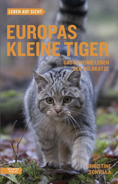 Produktbild: Europas kleine Tiger