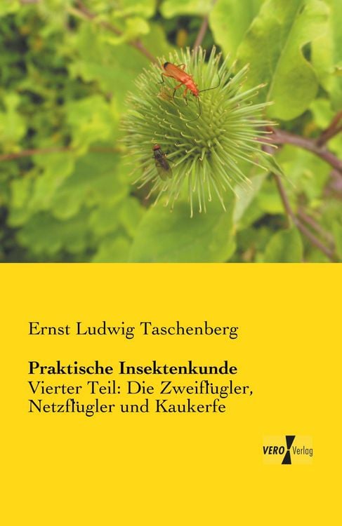 Produktbild: Praktische Insektenkunde