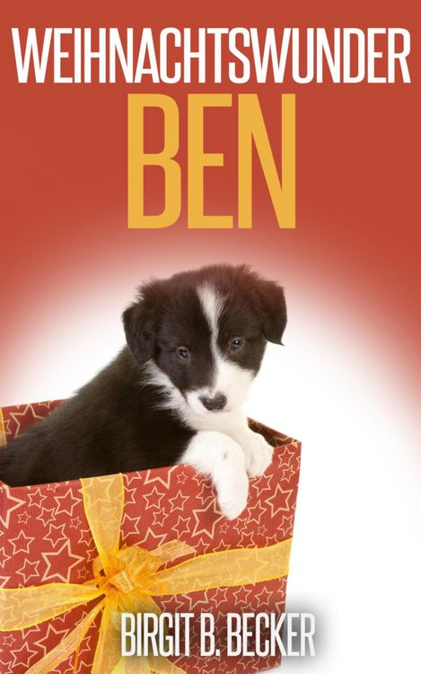 Produktbild: Weihnachtswunder Ben