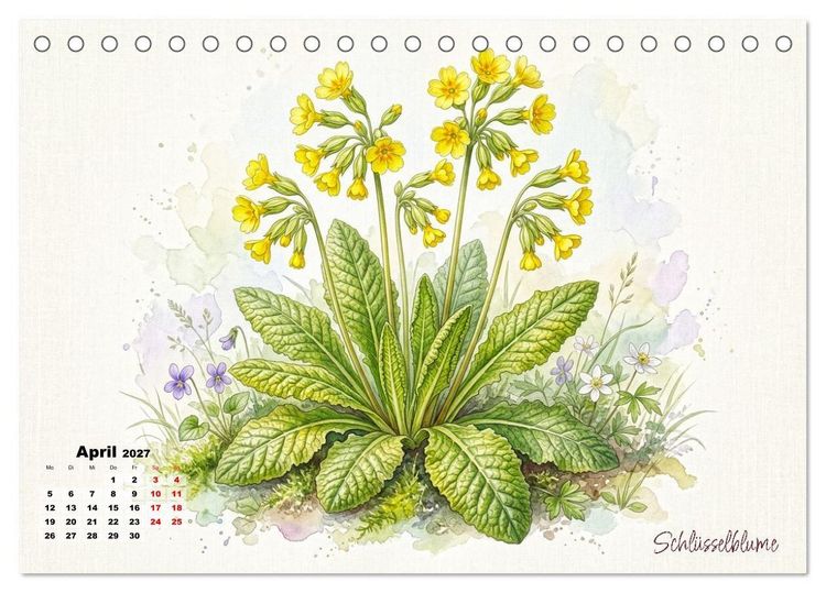Produktbild: Wilde Kostbarkeiten &ndash; Essbar, gesund & wundersch&ouml;n (Tischkalender 2027 DIN A5 quer), CALVENDO Monatskalender