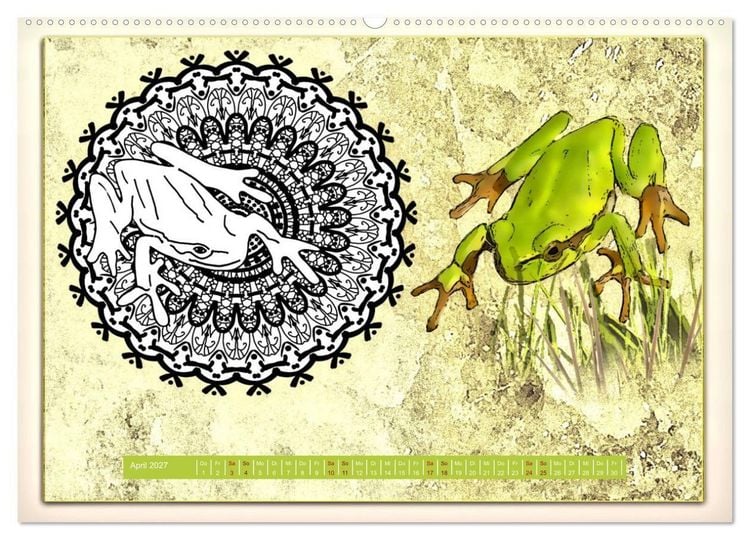 Produktbild: Mandalas 2027 - Beruhigende Momente (Wandkalender 2027 DIN A2 quer), CALVENDO Monatskalender