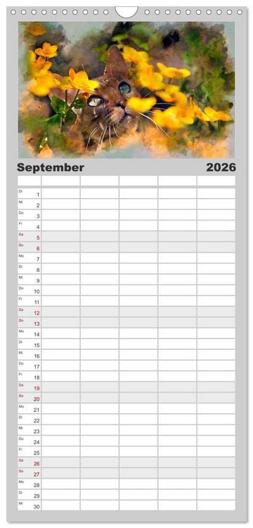 Produktbild: Familienplaner 2026 - Katzenkalender mausgemalt mit 5 Spalten (Wandkalender, 21 x 45 cm) CALVENDO