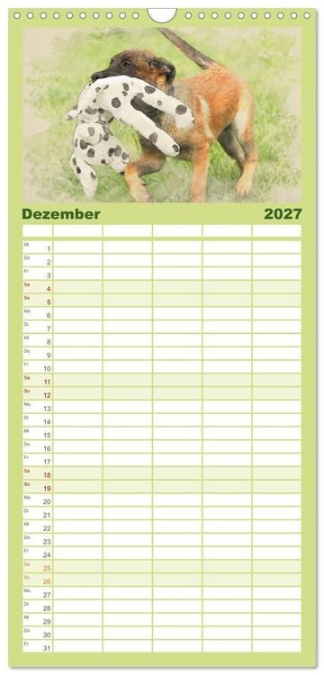 Produktbild: Familienplaner 2027 - Hundewelpen 2027 mit 5 Spalten (Wandkalender, 21 x 45 cm) CALVENDO