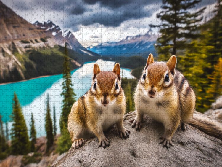 Produktbild: CALVENDO Puzzle Pause mit Panorama | 1000 Teile Lege-Gr&ouml;&szlig;e 64x48cm Foto-Puzzle f&uuml;r gl&uuml;ckliche Stunden