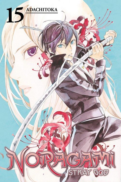 Produktbild: Noragami Volume 15